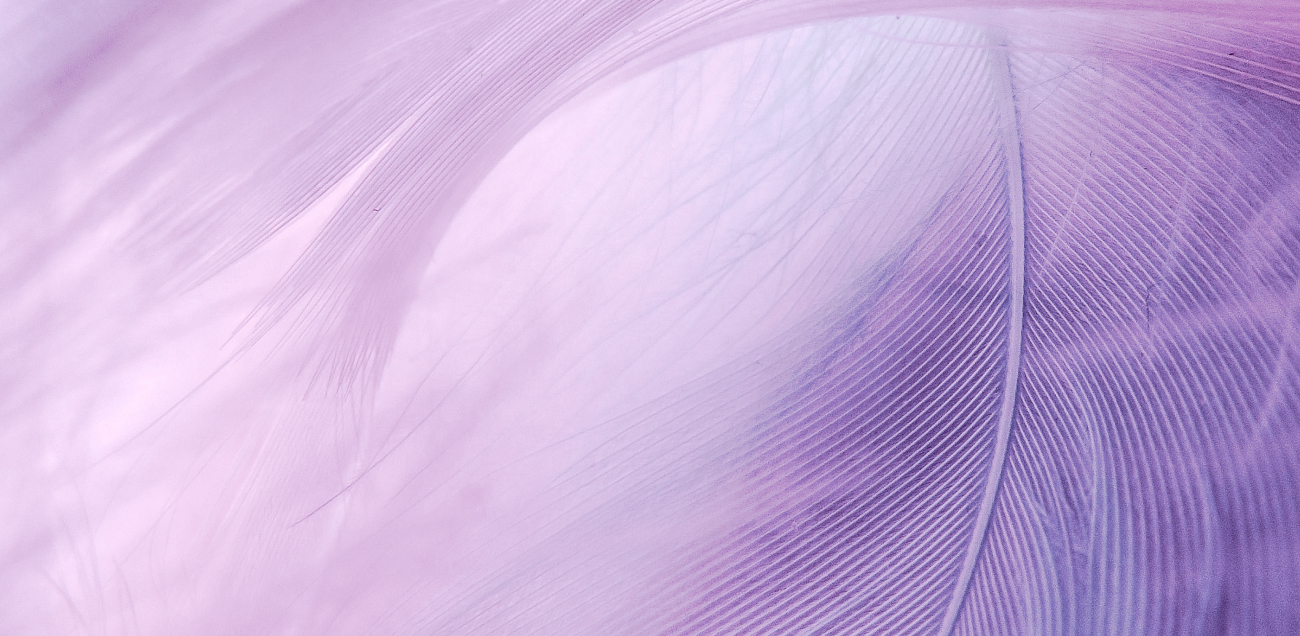 Color Wavelength: Lilac Petal